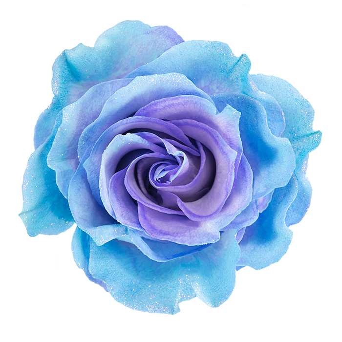 Lavender & Light Blue Glitter - Mystic Flowers